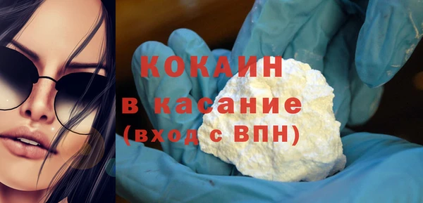 индика Дмитриев