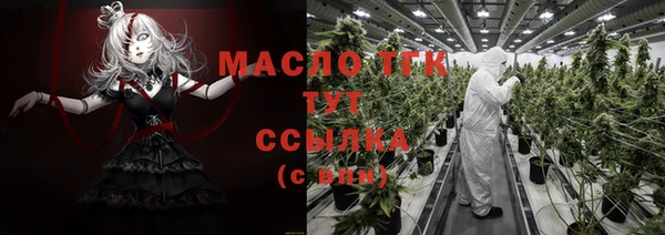 индика Дмитриев