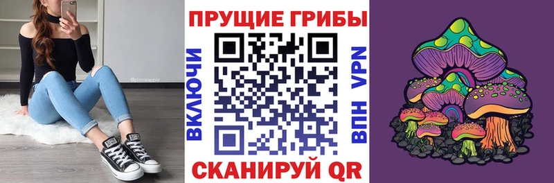 Псилоцибиновые грибы мухоморы  купить наркотик  Заречный 