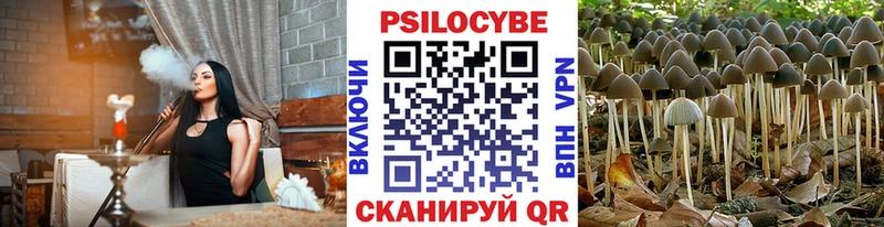 Псилоцибиновые грибы Magic Shrooms Заречный