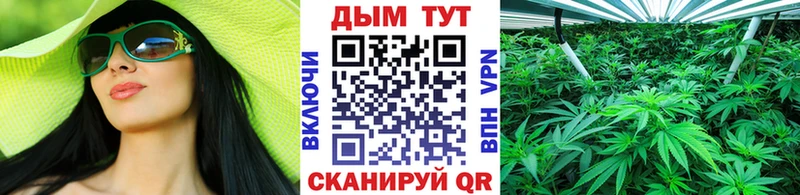 закладка  Заречный  дарк нет официальный сайт  Марихуана марихуана 